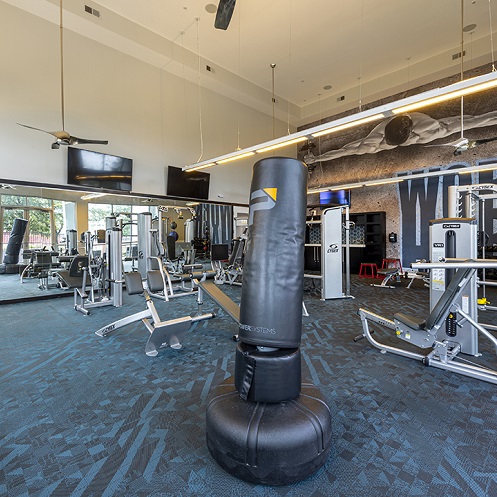 state-of-the-art-fitness-center