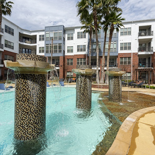 pool-with-palm-trees