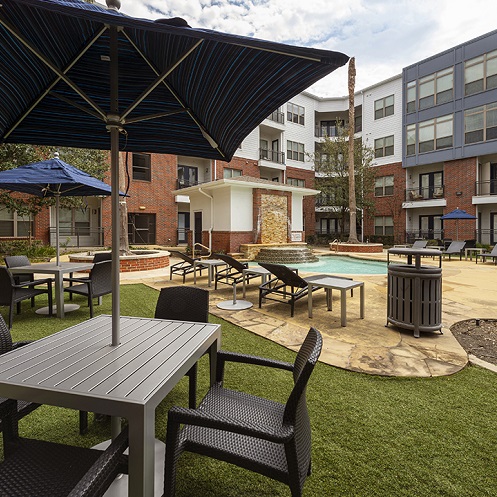 pool-with-palm-trees